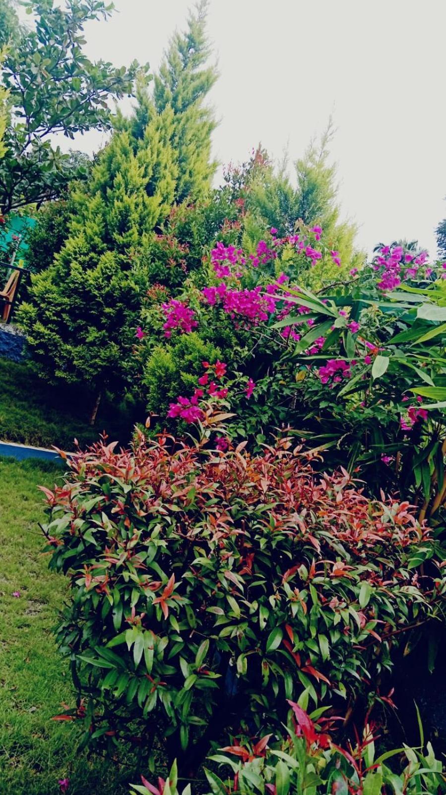 Serene Blossom Valley Tenkāsi Exterior photo
